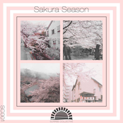 Sakura Season