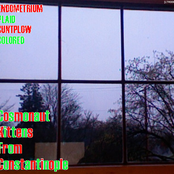 Cosmonaut Kittens From Constantinople