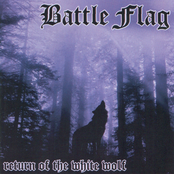 Let Me Fight by Battle Flag