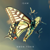 Kitty Cat by Amon Tobin