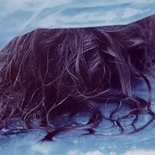 Wrapped In Plastic