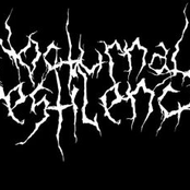 Nocturnal Pestilence