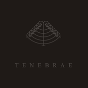 Tenebrae