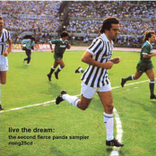 Live The Dream: The Second Fierce Panda Sampler