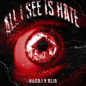 ALL I SEE IS HATE