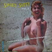 Sleazy Surf! Vol. 2