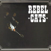 Rebel Cats: Rebel Cats