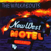 Snake Mountain Blues by The Walkabouts