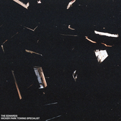 Wicker Park Towing Specialist