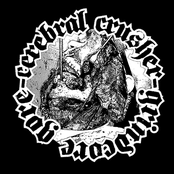 Cerebral Crusher