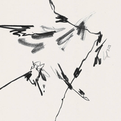 Prize Horse: Further From My Start