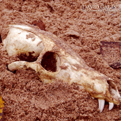 The Ghosts Of California