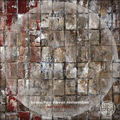 Branches Never Remember