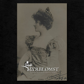 Lost Letters from an Unknown Sender