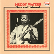 Let Me Hang Around by Muddy Waters