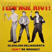 Teenage Riot! 50.000.000 Delinquents Can't Be Wrong!!!