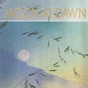 Moon At Dawn