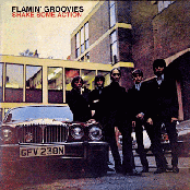 She Said Yeah by Flamin' Groovies