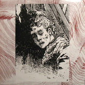 insane music for insane people vol. 13