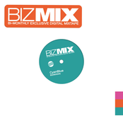 BIZMIX005