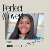 Perfect (Cover)