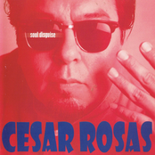 Cesar Rosas: Soul Disguise