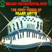 many moogs of killer watts