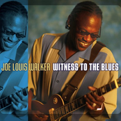 Witness To The Blues