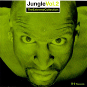Jungle: The Extreme Collection Vol. 2
