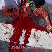 Fetid Gore Stream