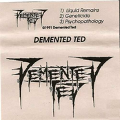 Demo 1991 (Demented Ted)