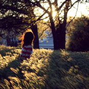 Wind and Light