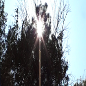 i've heard the ammonite murmur