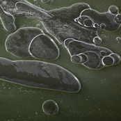 ℎ−  2−   ℎ−  −  2 ℎ−