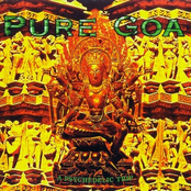 Pure Goa - A Psychedelic Trip