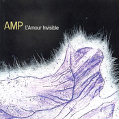 Glasshouse Jam by Amp