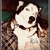 Rib Box