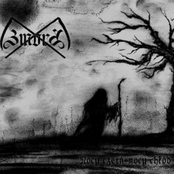 Nocy Czerń, Nocy Chłód