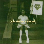 Further Adventures In Techno Soul