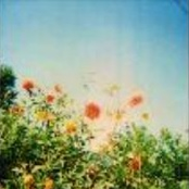 Our Rebel Songs ～素晴らしきコアレコードの世界～