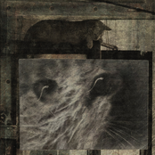 Why is it my friends are always there for me when I'm never there for them?