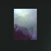 light on the wild​-​wood stream