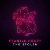 The Stolen: Fragile Heart