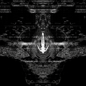 Adam Sellouk: The Antidote