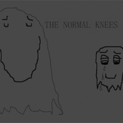 the normal knees