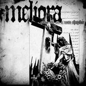 Skies Set On A New Chapter