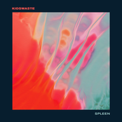 Kidswaste: Spleen