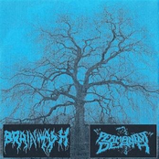 Brainwash / Permanent Death