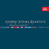 Dvořák: Complete Chamber Works