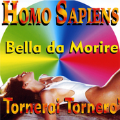 Ci Sarebbe Il Sole by Homo Sapiens